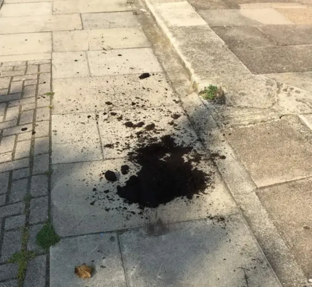 Compost on the pavement