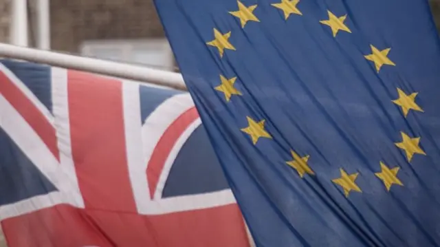 Brexit flags