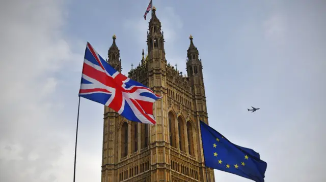 Parliament with flags