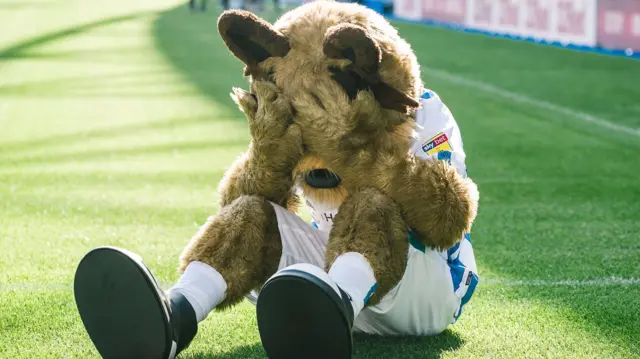 Huddersfield Town mascot