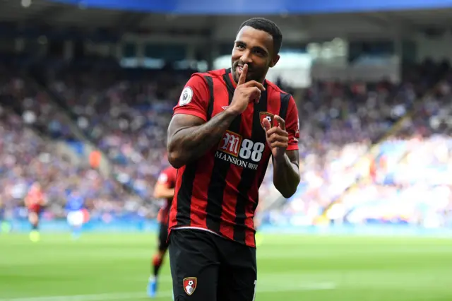 Callum Wilson celebrates