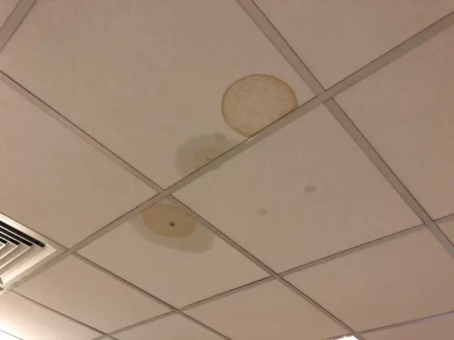 BBC office ceiling