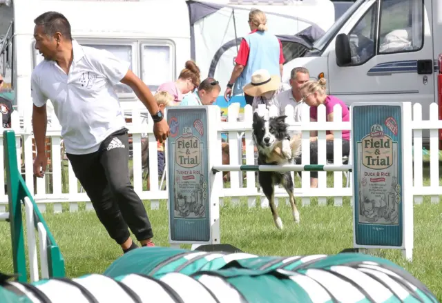 International Agility Festival 2019