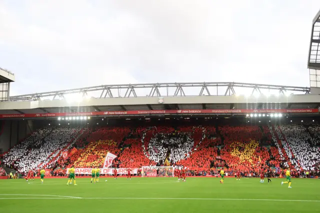 Mosaic in the crowd at Anfield