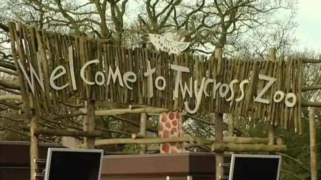 Twycross Zoo