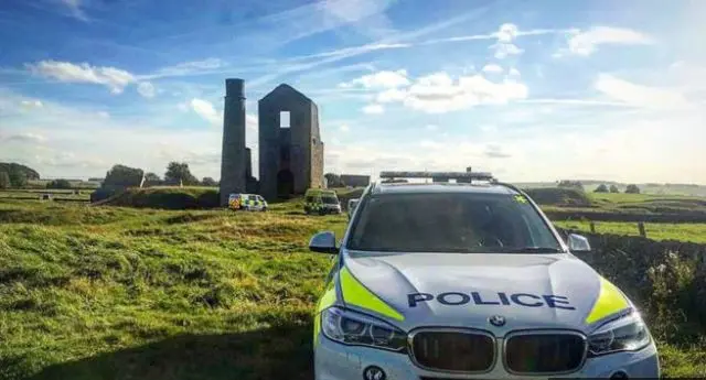 Cow trampling incident near Sheldon