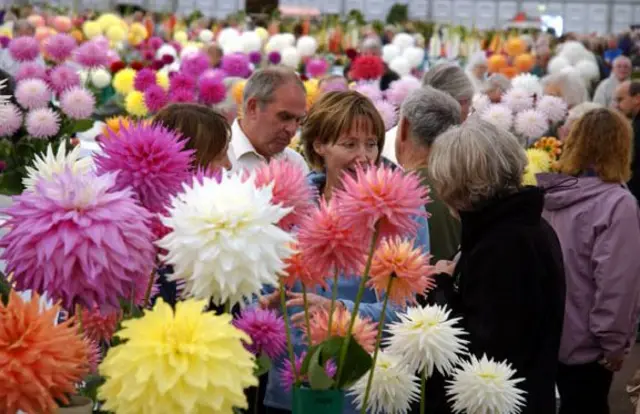 Flowers