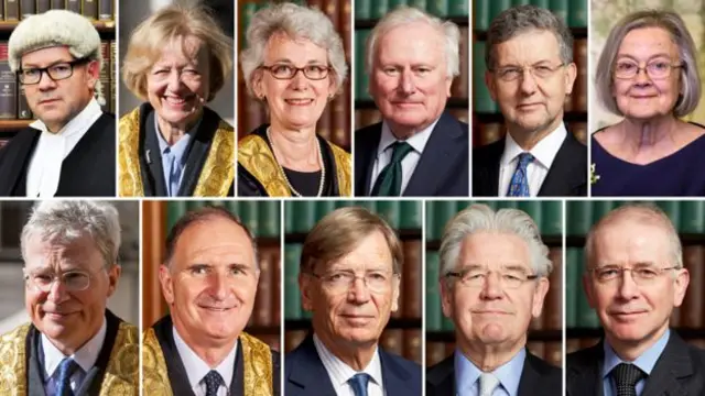 Top row (from left): Lord Sales, Lady Arden, Lady Black, Lord Kerr, Lord Hodge, Lady Hale. Second row (from left): Lord Kitchin, Lord Lloyd-Jones, Lord Carnwath, Lord Wilson, Lord Reed