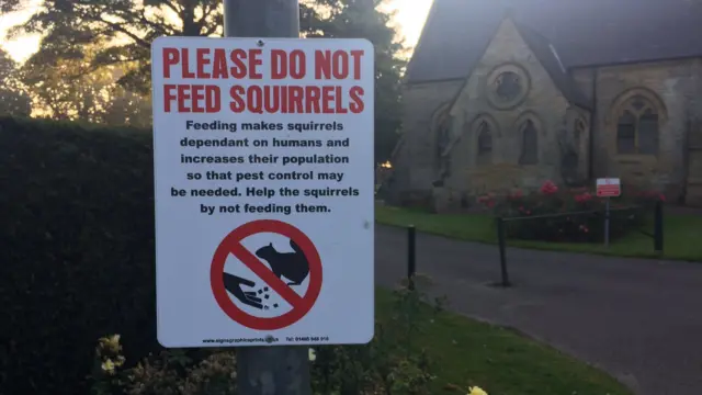 A sign telling people not to feed squirrels