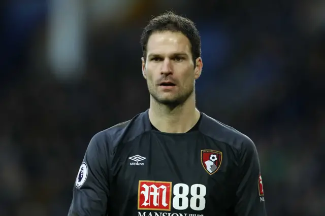 Bournemouth goalkeeper Asmir Begovic