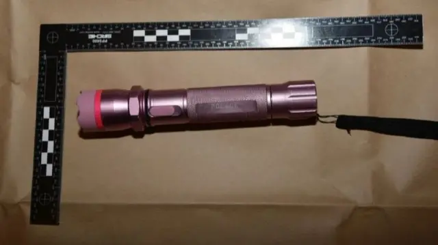 The stun gun