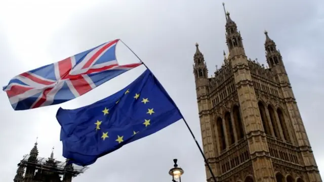 Parliament with flags