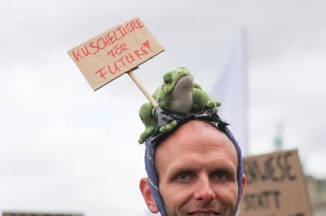 A man with a toy frog on his head, the frog is holding a sign saying "stuffed animals for future!"