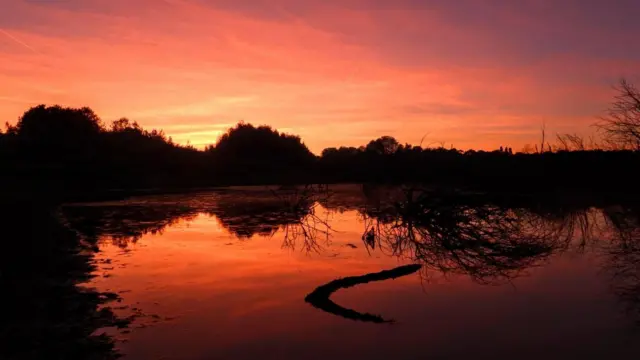 Rabbit Ings Country Park