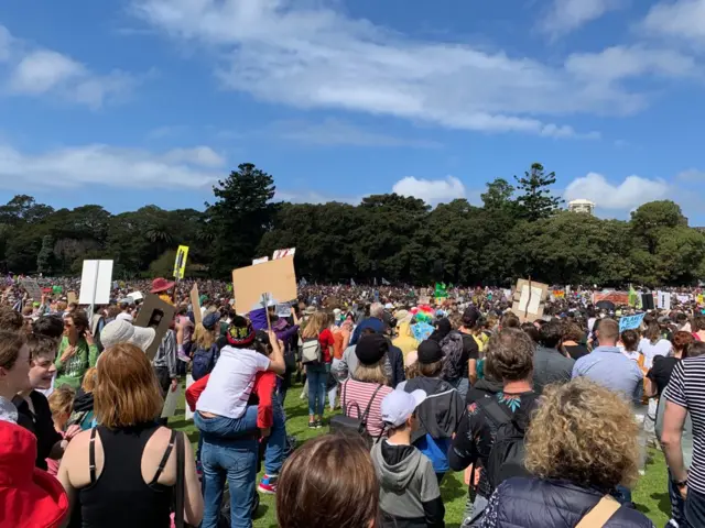 Thousands of protesters gather at The Domain in Sydney