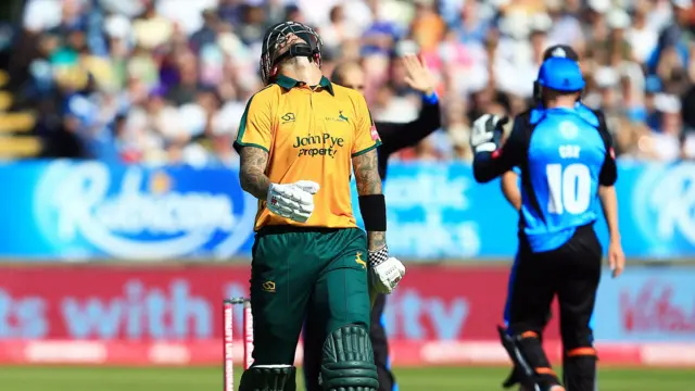 Alex Hales out