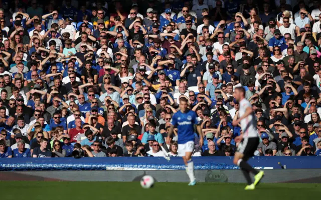 Everton fans