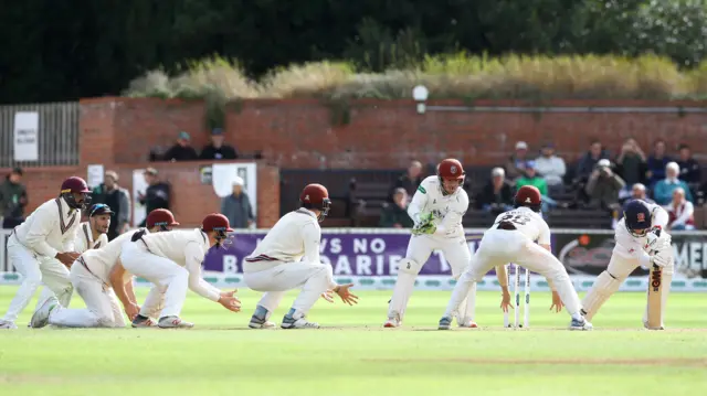 Somerset field at Taunton