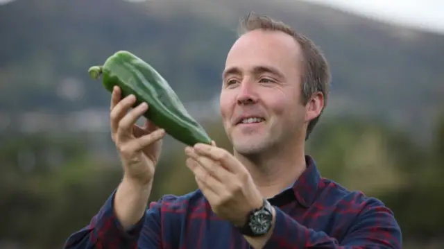 Giant chilli