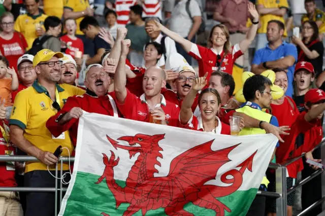 Wales fans