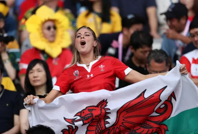 Wales fan