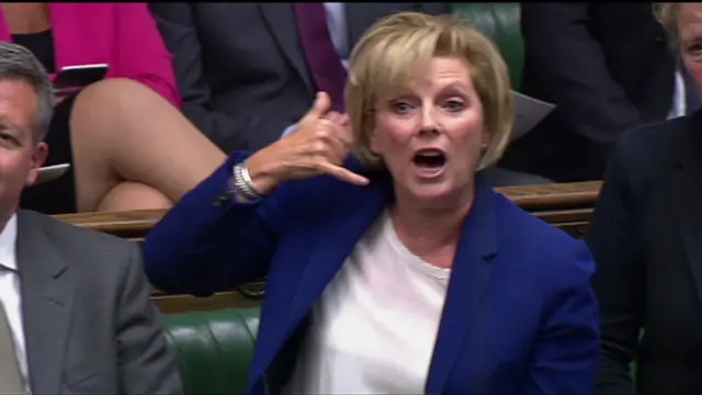 Anna Soubry