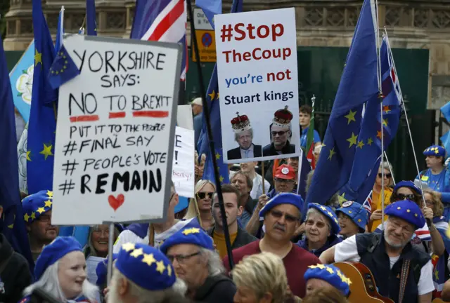 Anti-Brexit protester outside Parliament