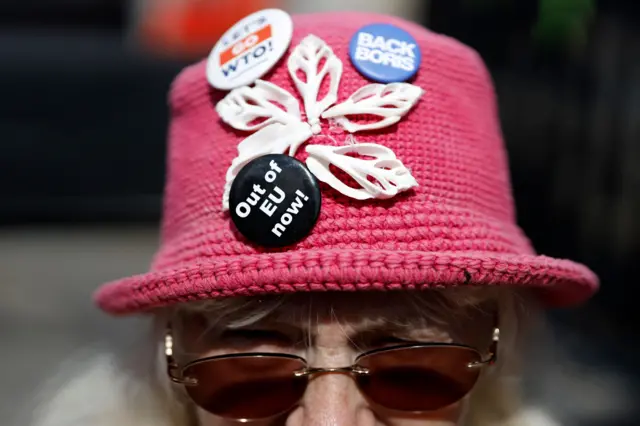 Pro-Brexit protester outside Parliament