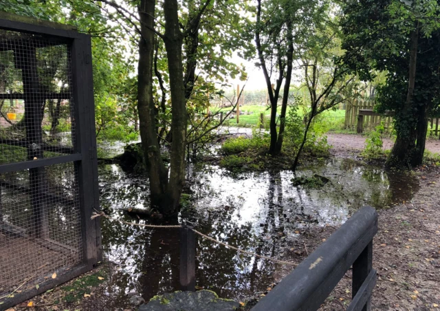 Flooded area in Lakeland Oasis