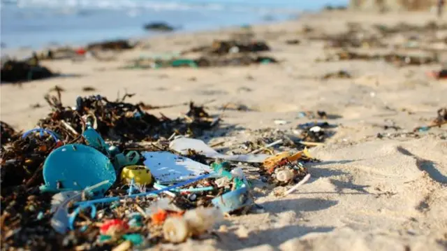 Beach litter