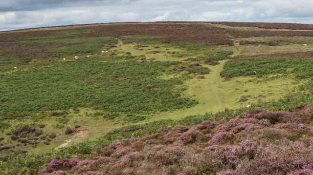 Long Mynd