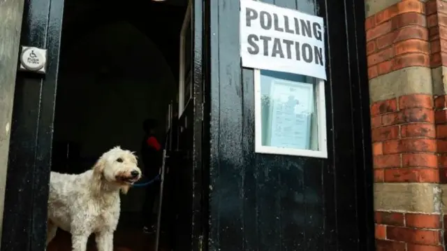 Dog at polling station