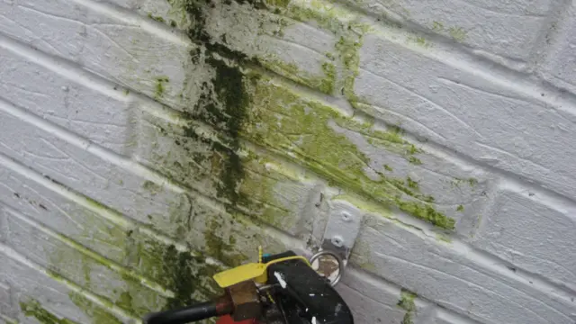 Mould on wall