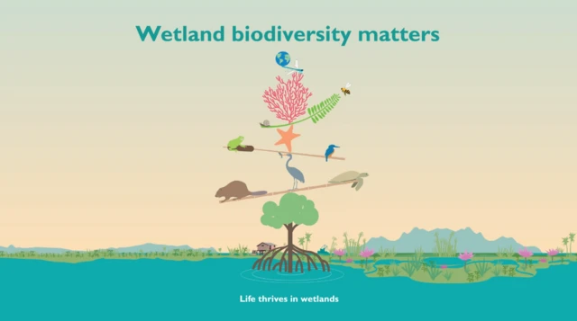 World Wetlands Day