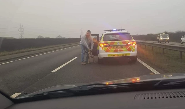 Man with a dog