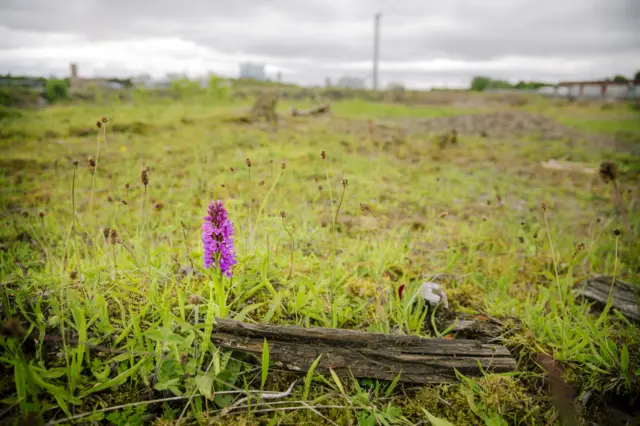 Abandoned land