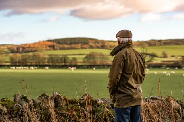 A farmer in field