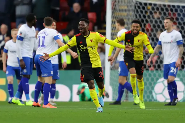 Watford goal