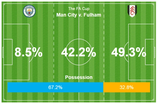 Manchester City v Fulham pitch map