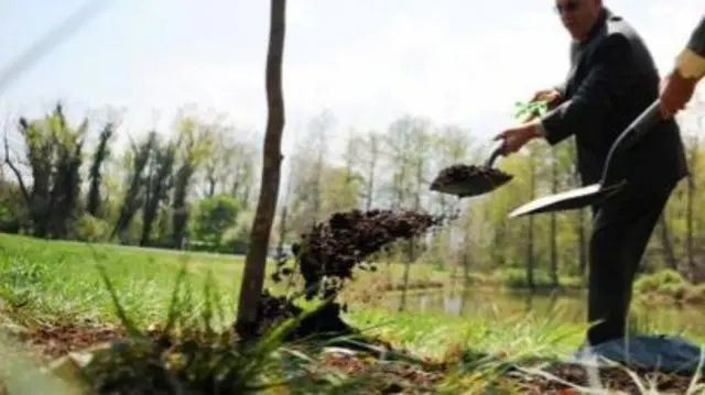 MAN PLANTING A TREE