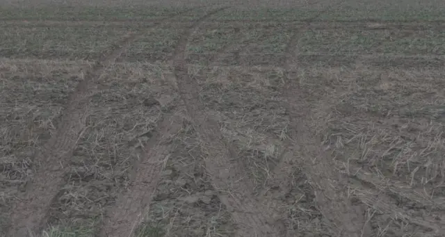 Tyre marks on farmer's field