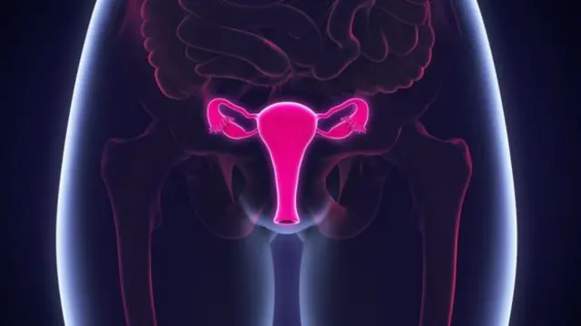 Graph showing woman's ovaries