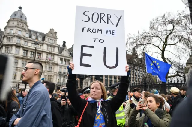 Pro-EU activists