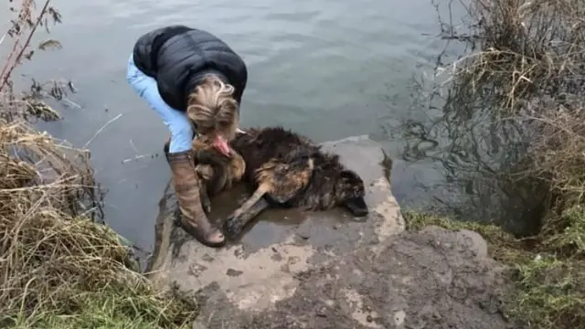 Jane Harper rescuing dog Bella