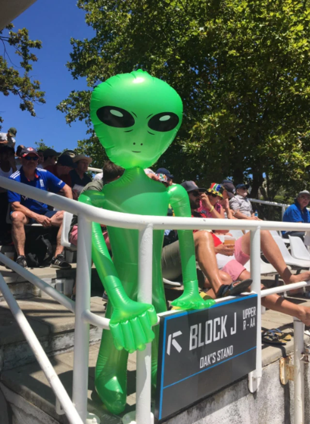 Alien at Newlands