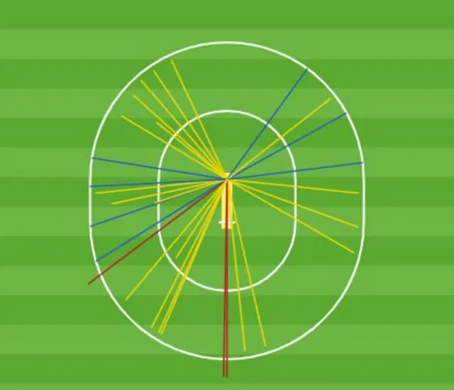 Ben Stokes wagon wheel