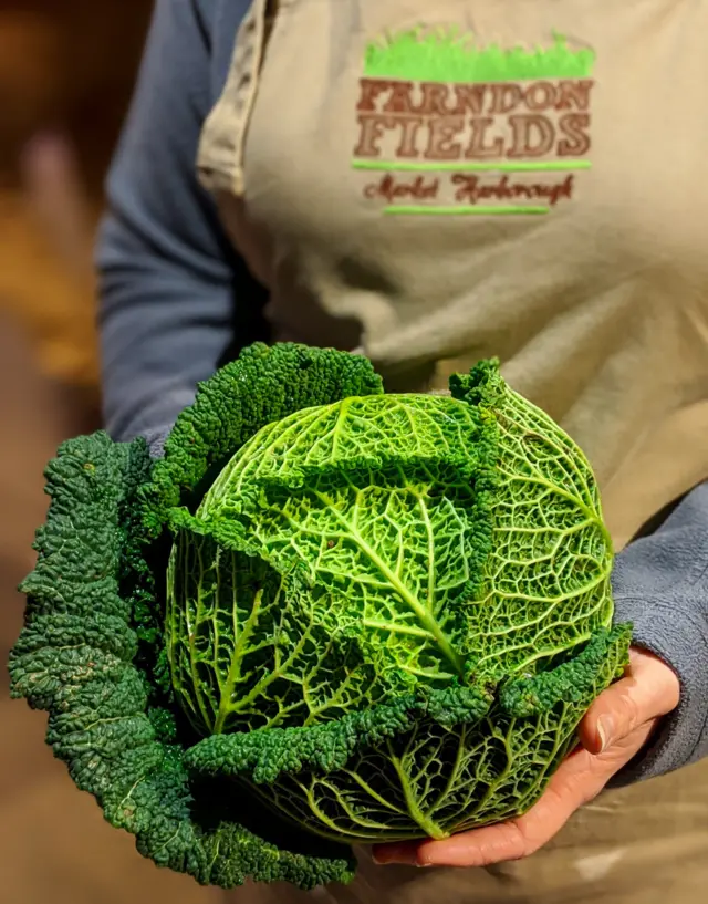 Savoy cabbage