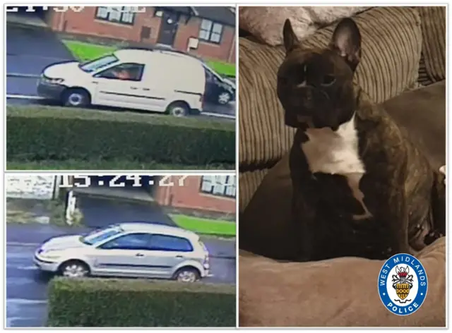 Stolen dog Lyla and vehicles suspected to be involved