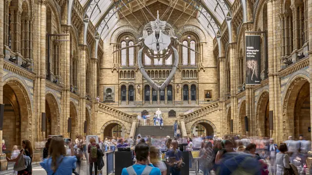 Hintze Hall at the Natural History Museum, London