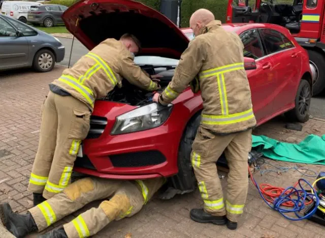 Firefighters work to free kitten